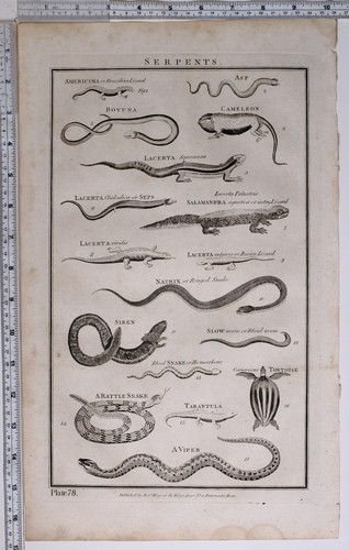1788 original imprimé - original,