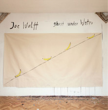 Joe Wulff Ghost Under Water