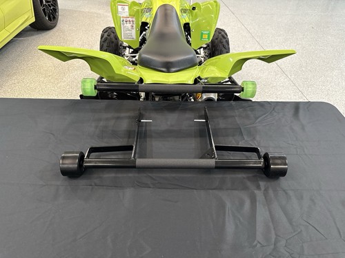 Raptor 700 grab bar with