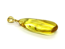 Pendentif Ambre 2 Insectes