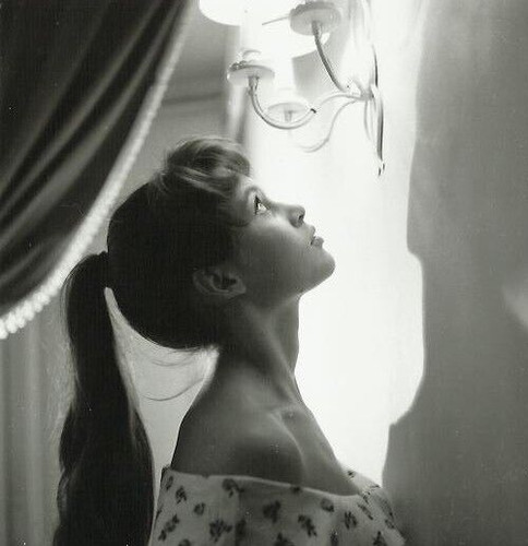Brigitte bardot photo 18x24 - bb,