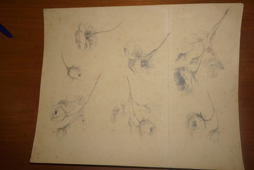Beau dessin crayon xix - beau,