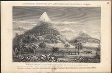 1866 Gravure originale Distribution des plantes selon le climat Botanique