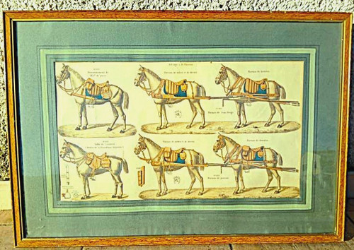 Gravure attelage chevaux - gravure,