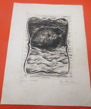 RARE EAU-FORTE Signé PINO