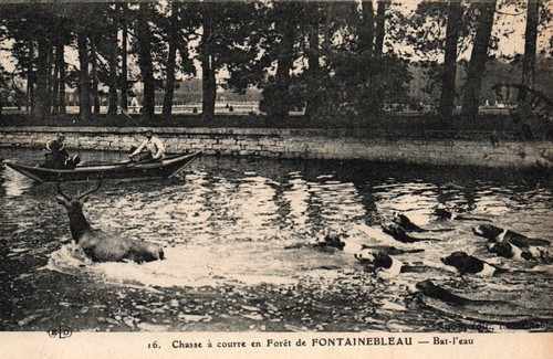 Cpa chasse à courre - 77,