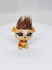 Guinea Pig #2488, G2 cochon d’Inde, Hasbro Littlest Pet Shop, 2011, Chine, orang