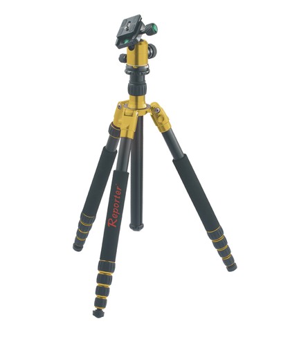 Reporter 00204 gold trpied - 00204,