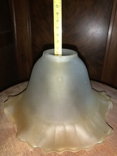 5 TULIPES VERRE Transparent