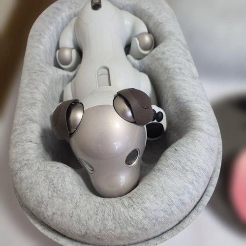 Ensemble robots de - robots,