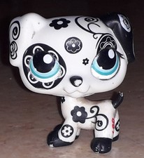 Petshop dalmatien 1613