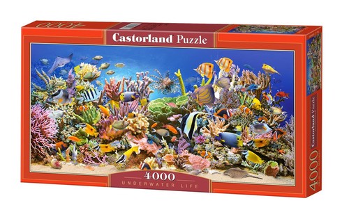 5904438400089 puzzle 4000 - 5904438400089,