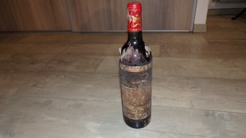 Château mouton rothschild - château,