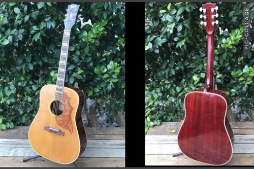 Guitare acoustique burny - guitare, bh-75