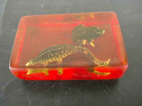 Inclusion resine grenouille - resine,