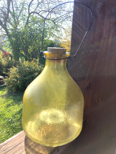 Attrape guêpes verre - attrape,