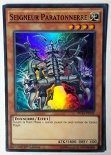 Carte Yu-Gi-Oh! - Seigneur Paratonnerre - MP15-FR216 FR ©