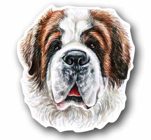 Saint bernard dog tall - dog,