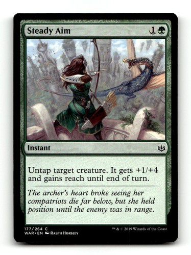 Steady aim 177 common - steady,