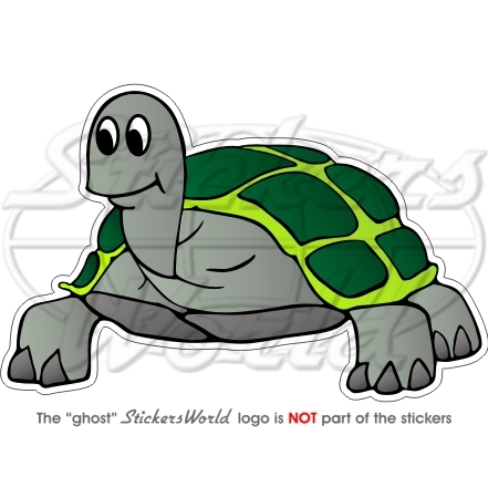 Tortue tortoise - tortoise, de