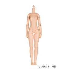 Poupée Obitsu SBH-M 24Cm