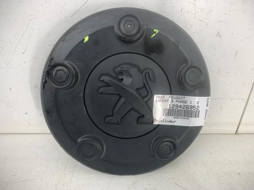 Enjoliveur peugeot expert - expert, 3