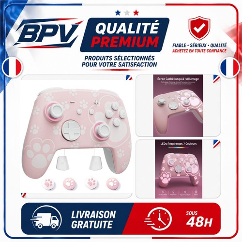 Manette switch pro - 2, palpow