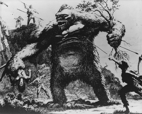 King kong photo argentique - ,