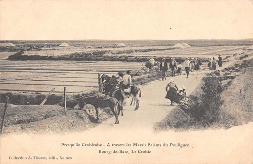 Cpa presqu ile croisicaise - 44, presqu'ile