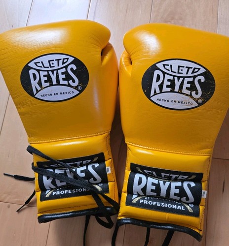 Cleto reyes sparring oz - reyes,