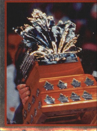 A4102 1995 panini - a4102-, 1995-96