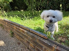 train électrique ho rame