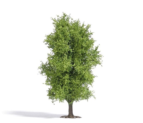 Arbre déciduous 115 - 115, mm