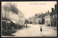 CPA Fayl-Billot, Grande Rue animée avec passants et bâtiments historiques 1905 