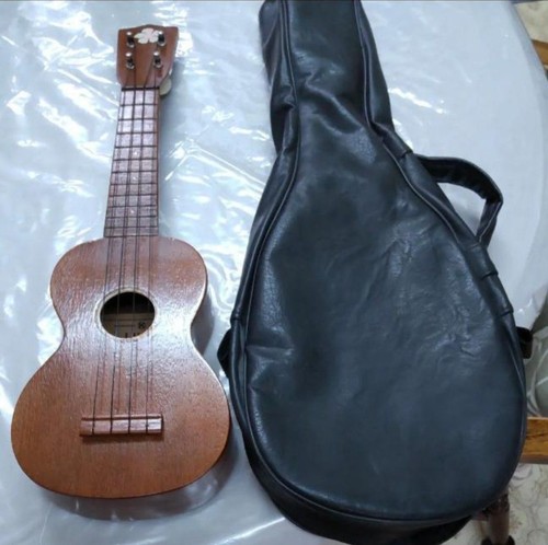 Vintage ukulélé luna 320 - vintage, no.320