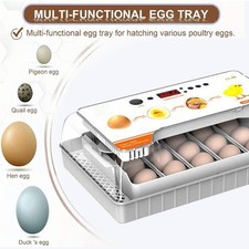 Incubator For Hatching Eggs Automatic Egg Turning 20 Eggs LED Efficient Egg