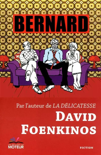 Bernard david foenkinos - david,