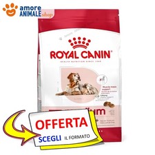 Royal Canin Chien → Adulte