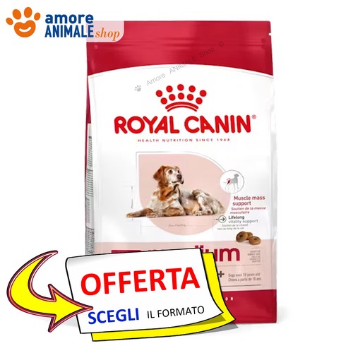 Royal canin chien adulte - chien, →