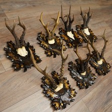 Cerf 7 X Rehböcke,5 X Forts