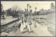 🦬 ALGERIE - CARTE POSTALE / بطاقة بريدية Paysage🦬