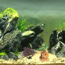  Décors Pour Aquarium