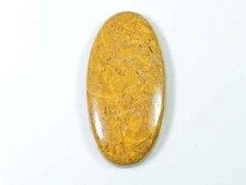 48Cts. Cabochon ovale en jaspe