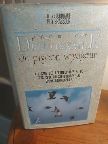 Dictionnaire pigeon - dictionnaire,