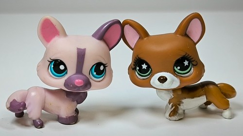Littlest pet shop chien corgi - littlest,