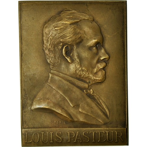 France médaille pasteur - médaille,,