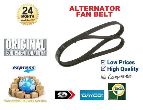 Alternator fan belt ribbed - alternator, v-ribbed