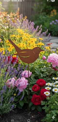 Oiseau pic décoratif pour - /,