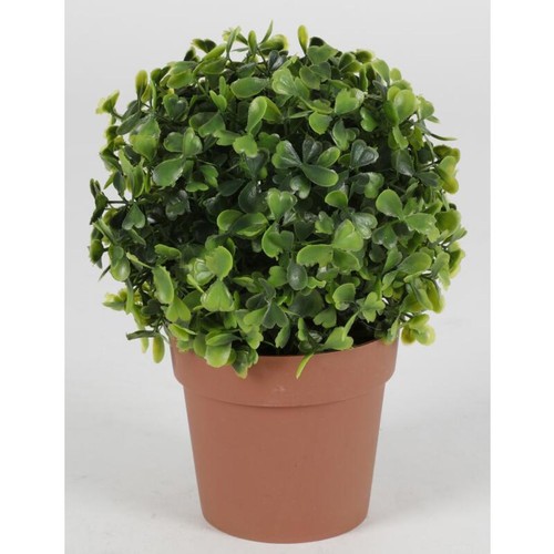 Buis artificiel pot plantes - en,