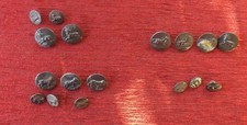 LOT DE BOUTONS ANCIENS...Chasse ,Venerie..Cerfs, Chevaux,sangliers, chiens